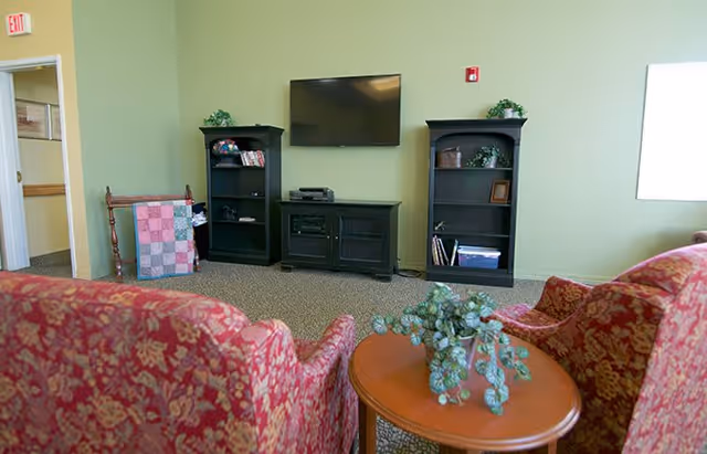 A cozy living room area with two red patterned armchairs facing a wall-mounted flat screen TV. Below the TV are two black bookshelves and a black cabinet. A small round wooden table with a green leafy plant is placed between the armchairs. The walls are painted light green and there is a window on the right side letting in natural light.