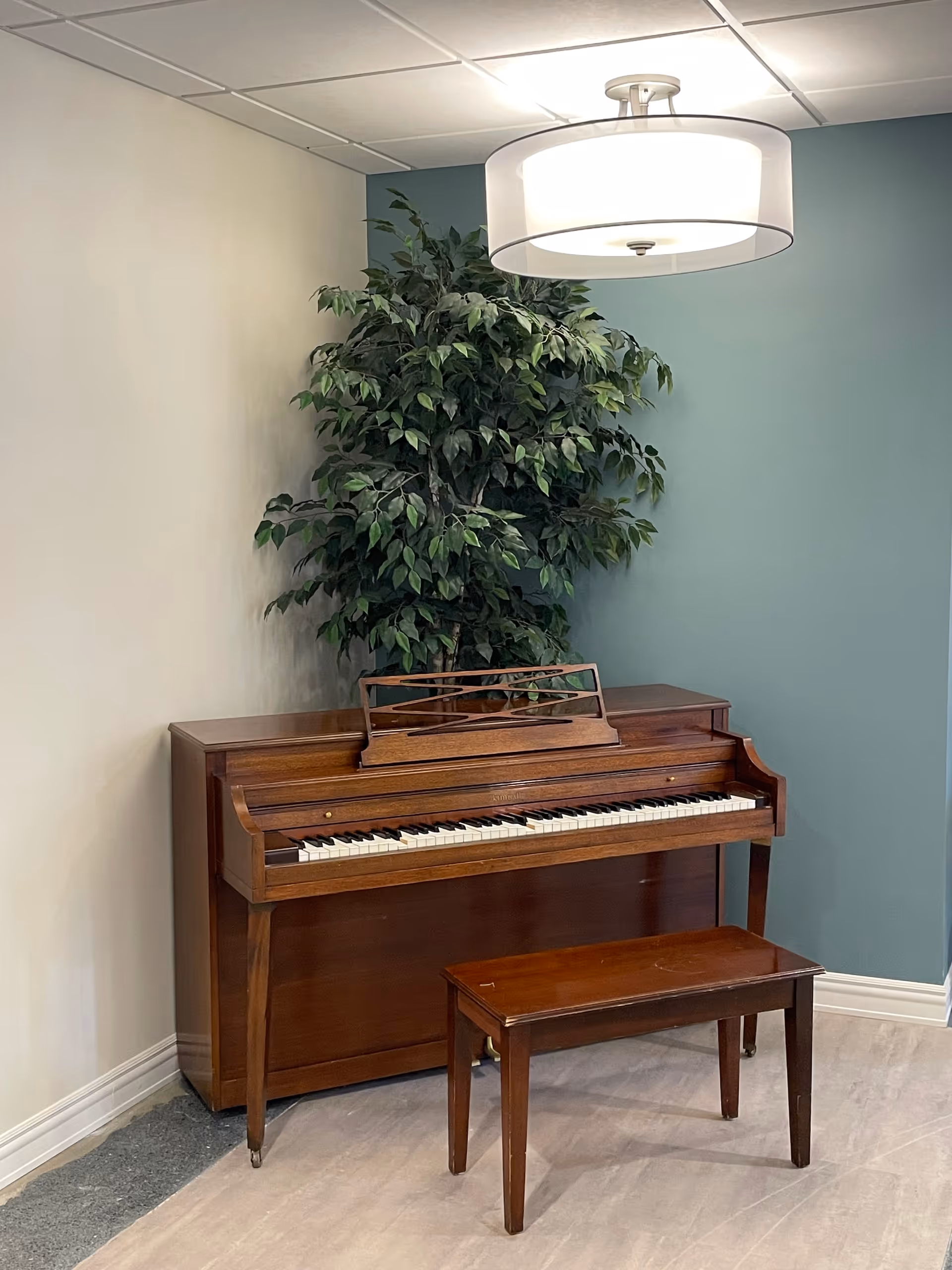 A wooden upright piano with a matching bench placed in a corner against a teal and beige wall. A large green leafy plant is positioned behind the piano, and a modern ceiling light fixture hangs above.