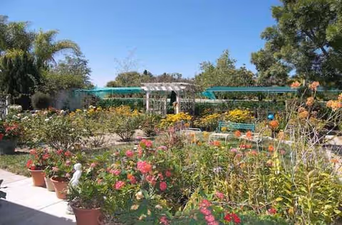 Colorful garden with potted flowers, benches, and shaded outdoor seating areas.