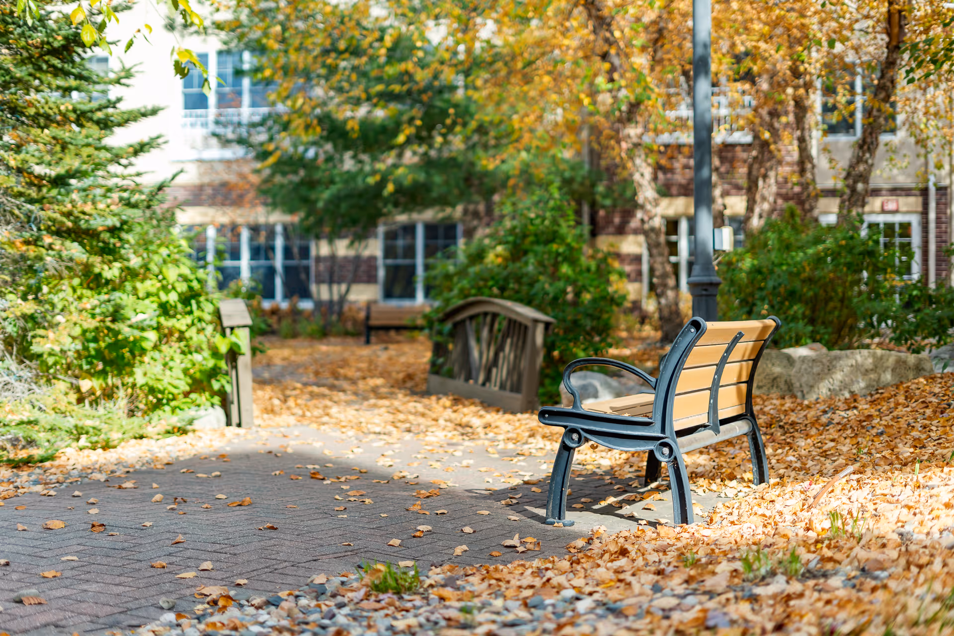 A bench sits on a leaf-covered path in an autumn courtyard with a small wooden bridge and building windows in the background.