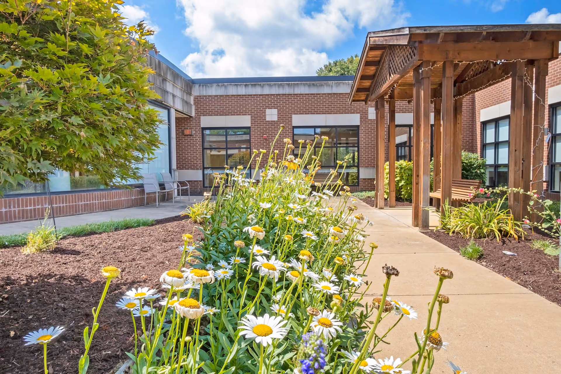 Outdoor garden area at TN State Veterans Home featuring a flower bed with white and yellow daisies, a concrete walkway, a wooden pergola with benches underneath, and a brick building with large windows in the background under a partly cloudy blue sky.