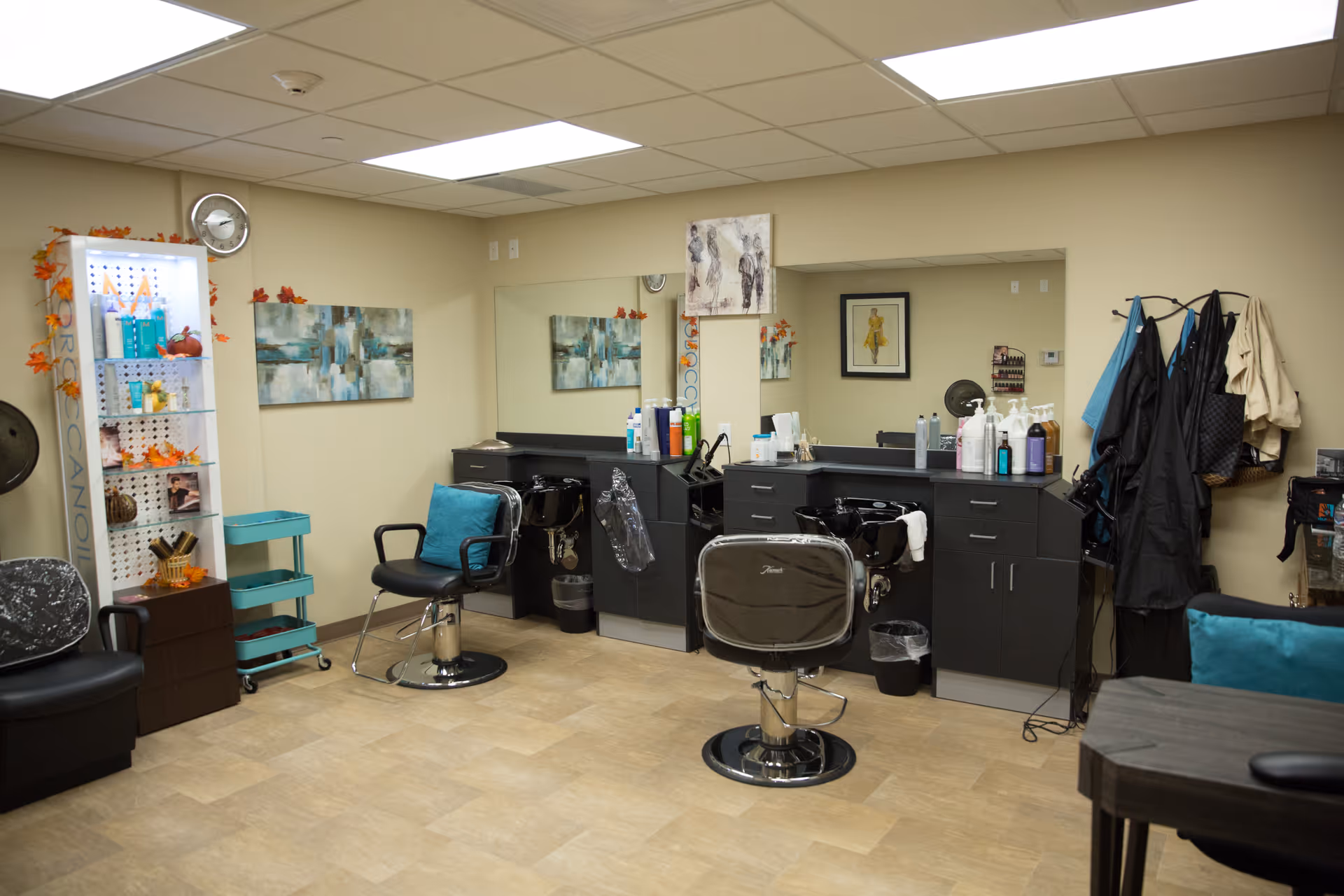 Interior salon area with styling chairs, shampoo sinks, mirrors, cabinets, and hair-care products.