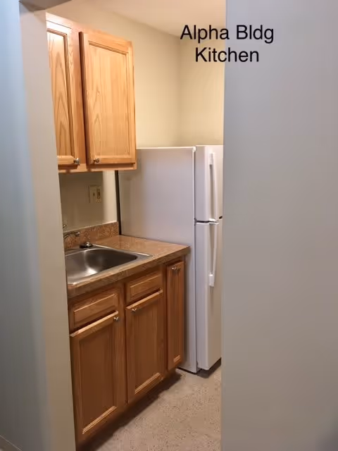 Small kitchen area with wooden cabinets, a stainless steel sink, a countertop, and a white refrigerator. The wall has text that reads 'Alpha Bldg Kitchen'.