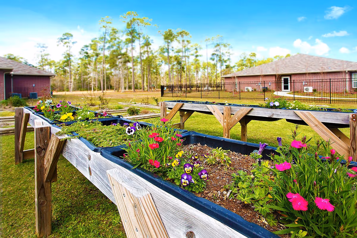 Raised garden beds with colorful flowers and plants in an outdoor area of a senior living facility, with buildings and trees in the background under a clear blue sky.