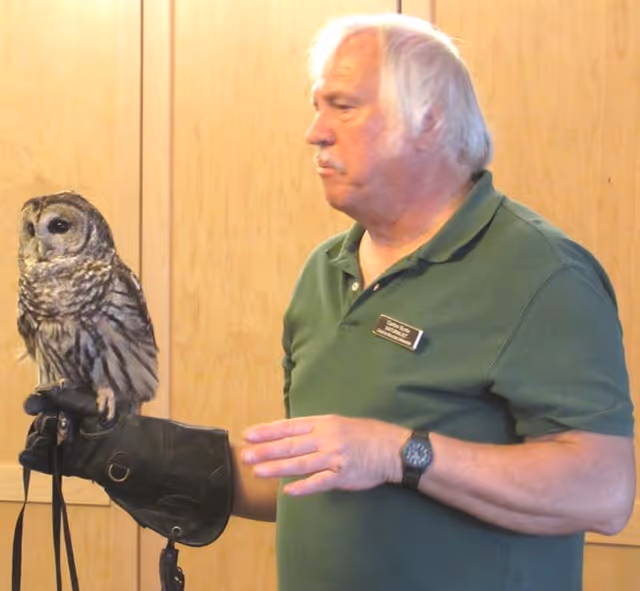 An older man with white hair wearing a green polo shirt and a name tag is holding a barred owl perched on a gloved hand indoors against a wooden wall background.
