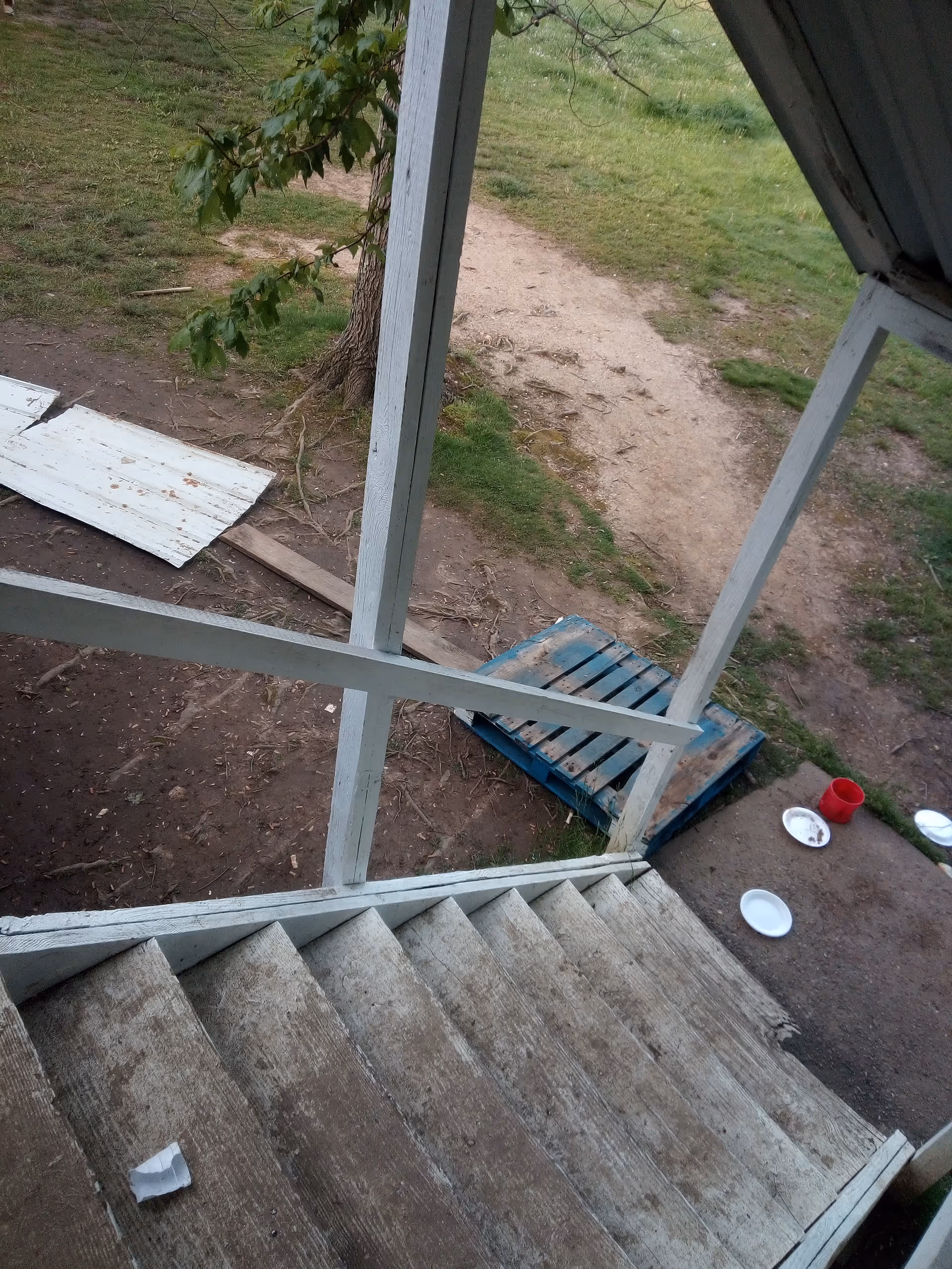 View down worn outdoor wooden stairs to a yard with a tree, a wooden pallet, scattered plates, and a dirt path.