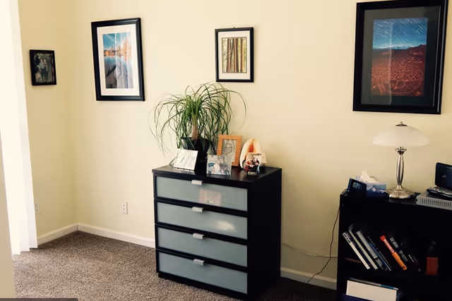 Corner of a living room featuring a black four-drawer dresser with a potted plant and framed photos, wall artwork, and a nearby bookshelf with a lamp.