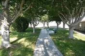 A shaded outdoor walkway lined with trees on both sides, leading to a bench and a trash can. The area is grassy and appears to be part of a garden or courtyard.