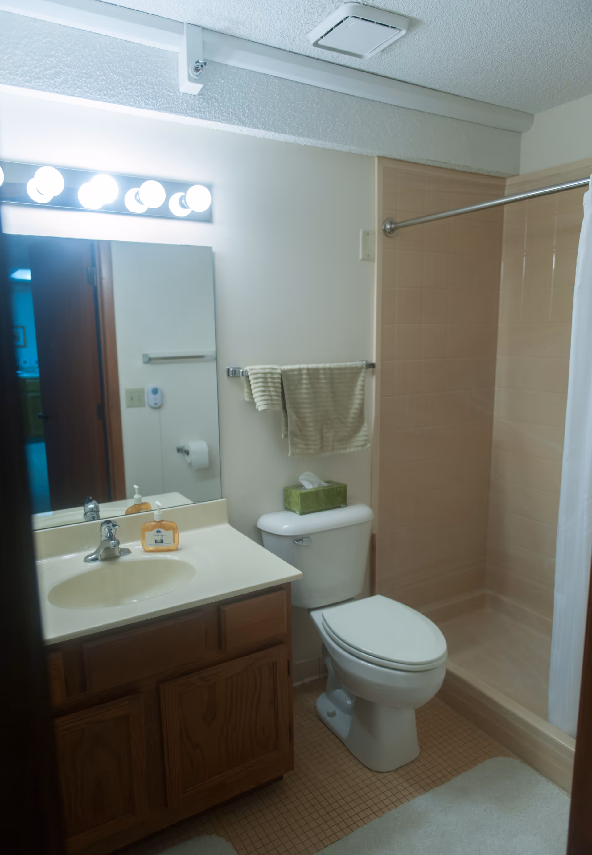 Small bathroom with a vanity and sink, mirror and light fixture, toilet, and a tiled shower with curtain.