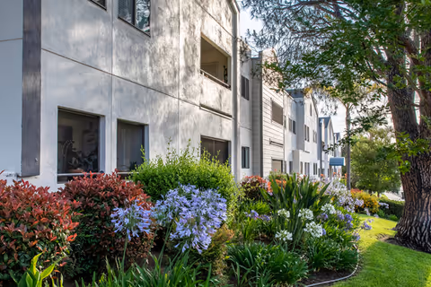 Exterior view of a multi-story residential building with white and gray walls, surrounded by well-maintained landscaping including green bushes, purple and white flowers, and a large tree on the right side.