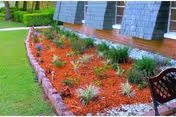 Landscaped flower bed with mulch and small ornamental plants along the exterior wall of a building, with a lawn and a bench nearby.