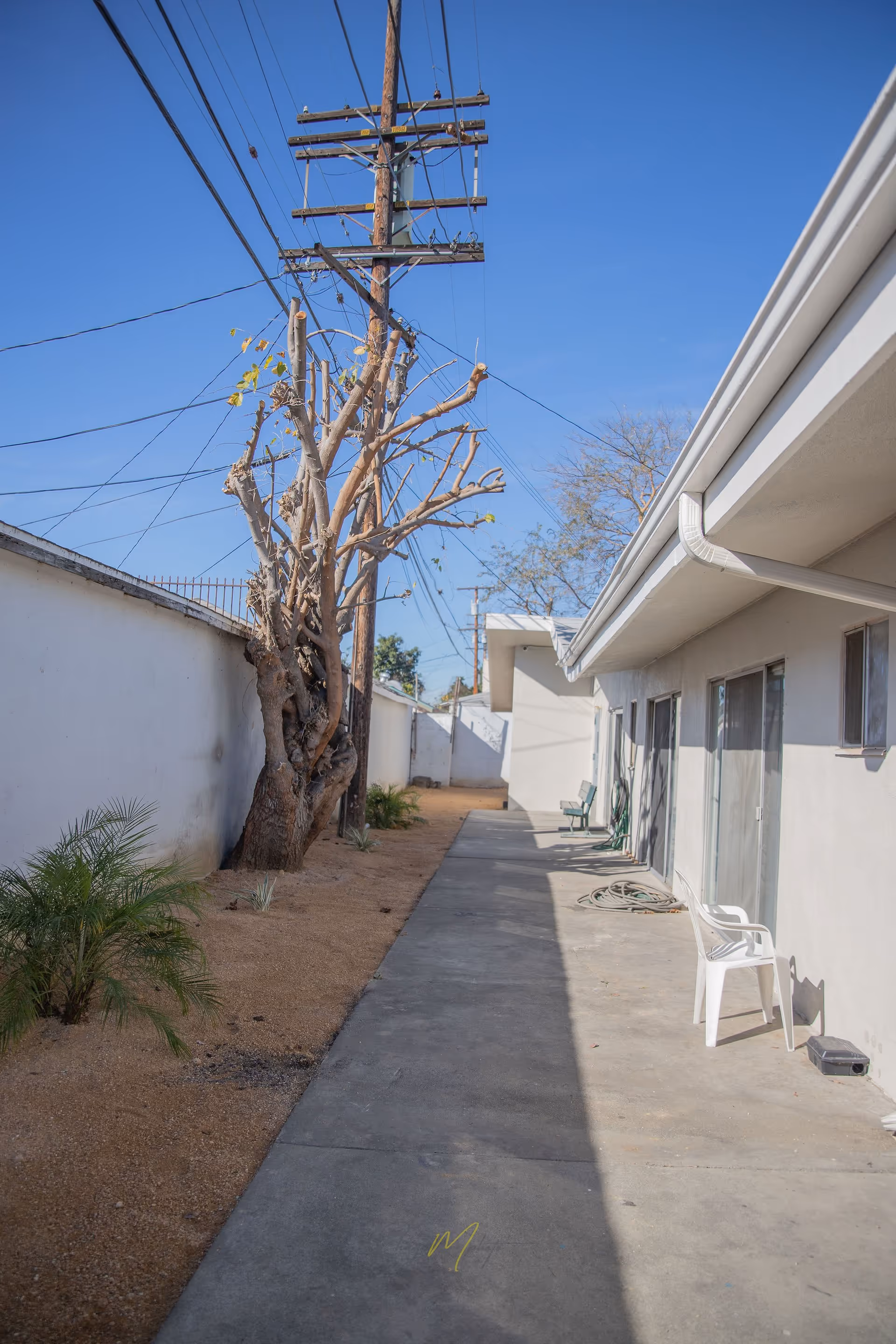 Exterior concrete walkway beside a single-story building and white wall with a pruned tree, utility pole, and a white plastic chair under a clear blue sky.