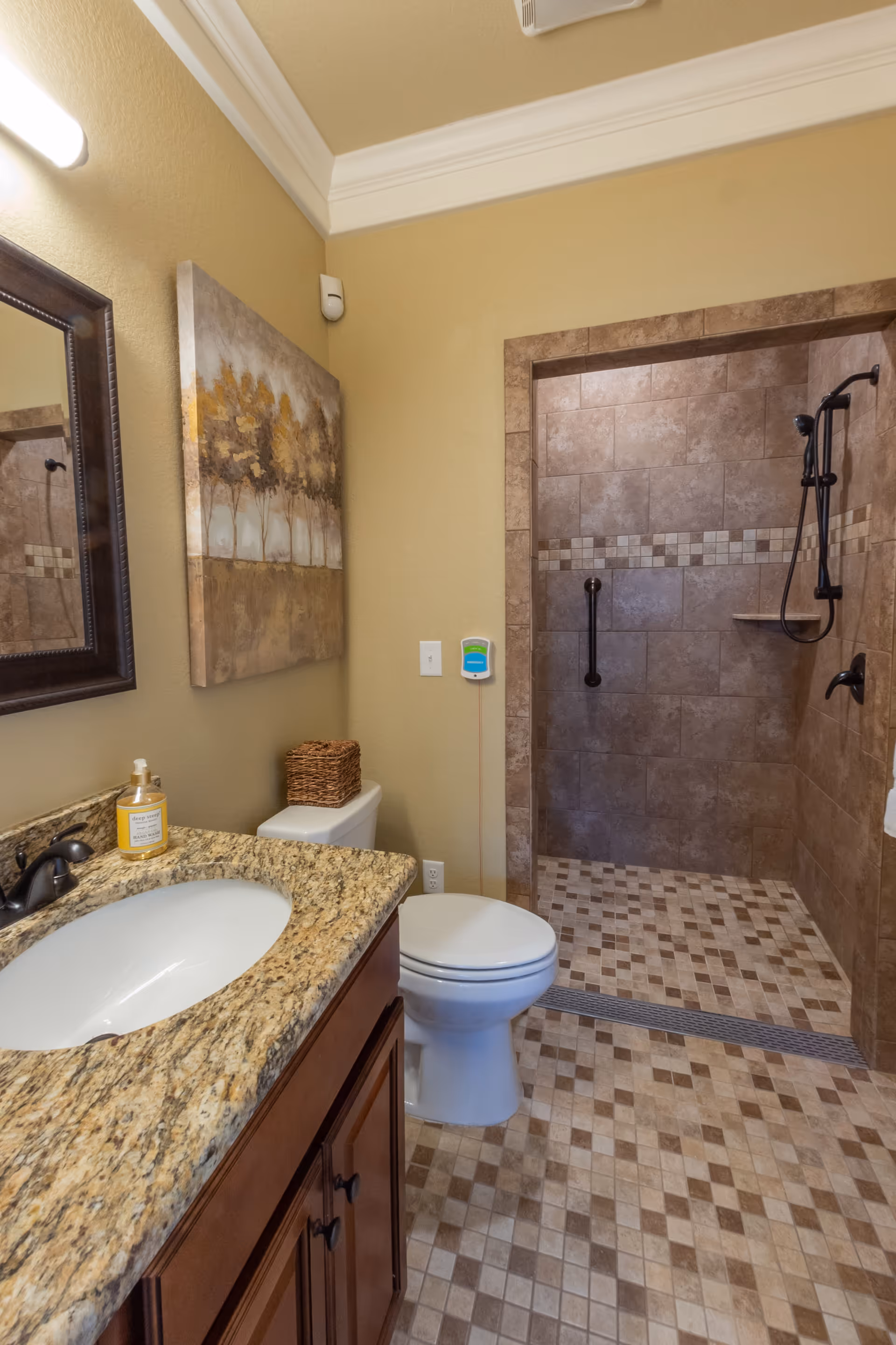Accessible-style bathroom with granite vanity, toilet, and a walk-in tiled shower with grab bars.