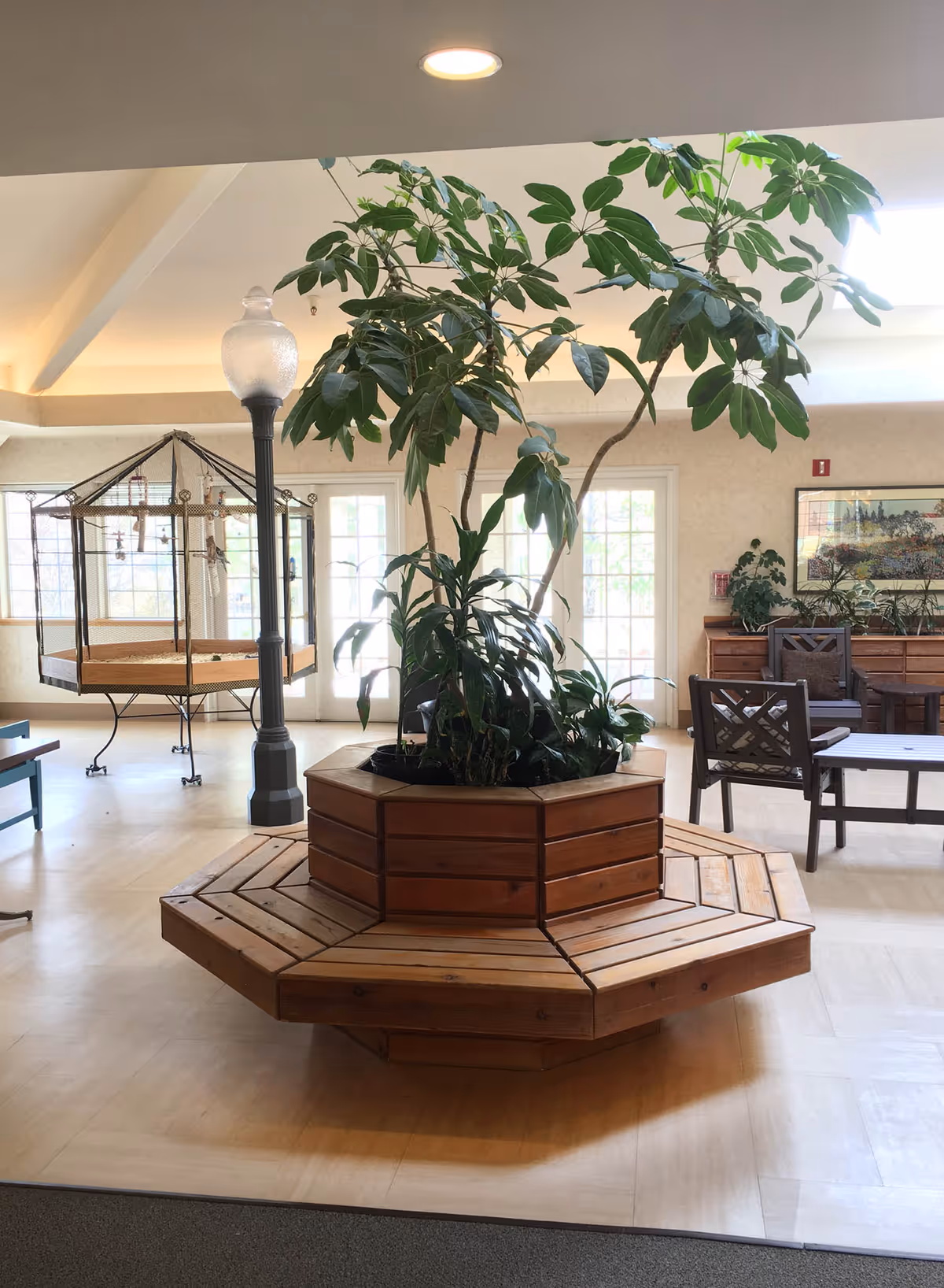 Indoor seating area with a large wooden octagonal planter in the center containing a tall leafy plant. Surrounding the planter is a wooden bench. In the background, there is a black lamppost, a large birdcage, chairs, tables, and windows letting in natural light.