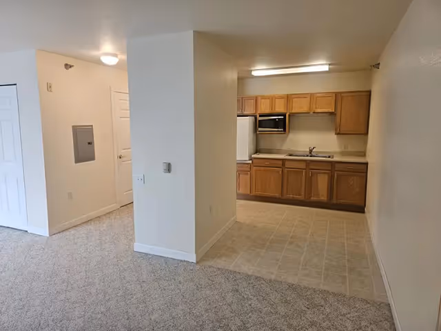 Kitchenette with wooden cabinets, fridge, microwave, sink, adjacent carpeted living area.
