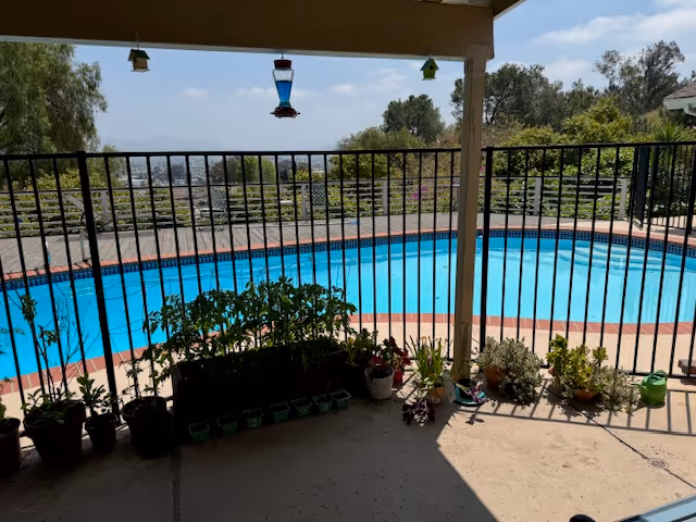 View of a swimming pool surrounded by a black metal fence with potted plants lined up along the fence on a concrete patio. There are bird feeders hanging from the patio roof, and trees and a clear sky are visible in the background.