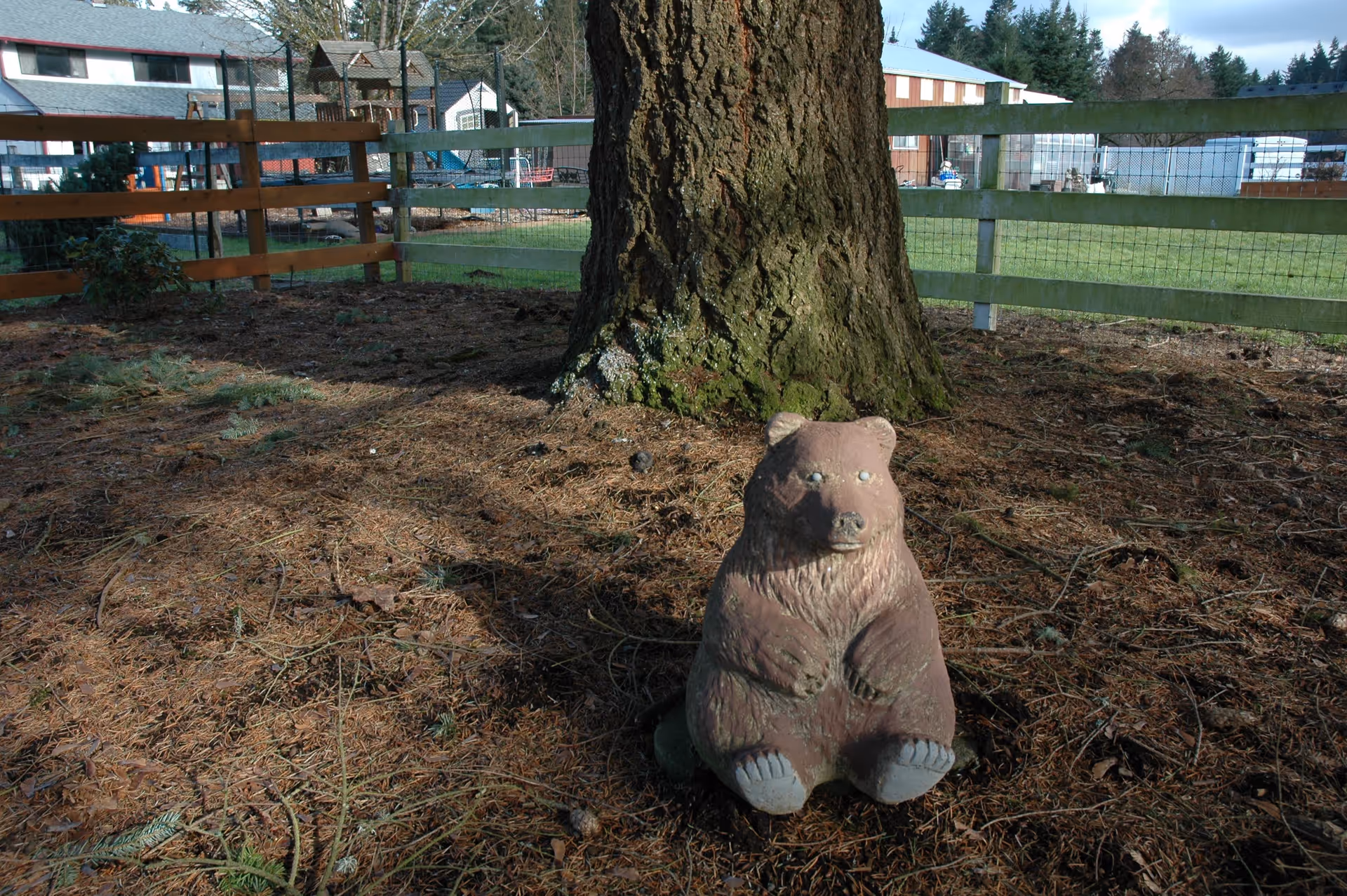 A small brown bear statue sitting on the ground covered with pine needles in front of a large tree trunk. The area is fenced with wooden and wire fencing, and buildings and playground equipment are visible in the background.
