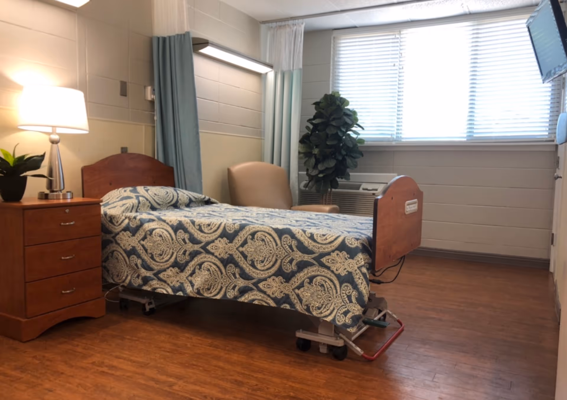 A single hospital-style bed with a patterned blue and beige bedspread in a room with wood flooring. Next to the bed is a wooden nightstand with a lamp and a small plant. There is a beige armchair and a large potted plant near a window with blinds. A wall-mounted TV is visible on the right side of the image.