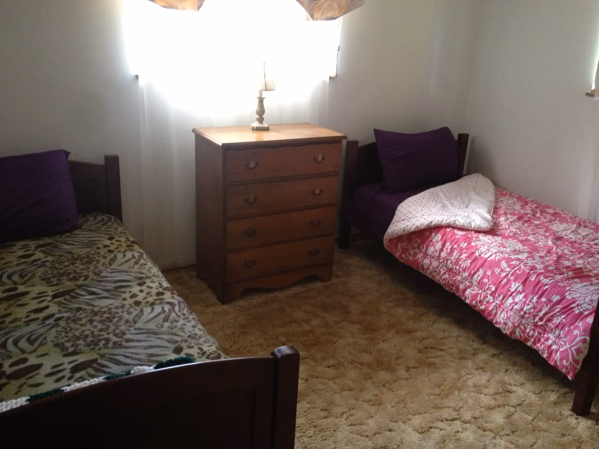 A small bedroom with two single beds placed against opposite walls. Each bed has a wooden frame and is covered with different patterned blankets; the left bed has an animal print blanket and a purple pillow, while the right bed has a pink floral blanket and a purple pillow. Between the beds is a wooden chest of drawers with a lamp on top. The room has beige carpet and white walls with a window behind the chest of drawers letting in bright light.
