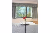 Nursing home bedroom with a bed, an overbed tray holding a vase of red flowers, and a window with curtains.