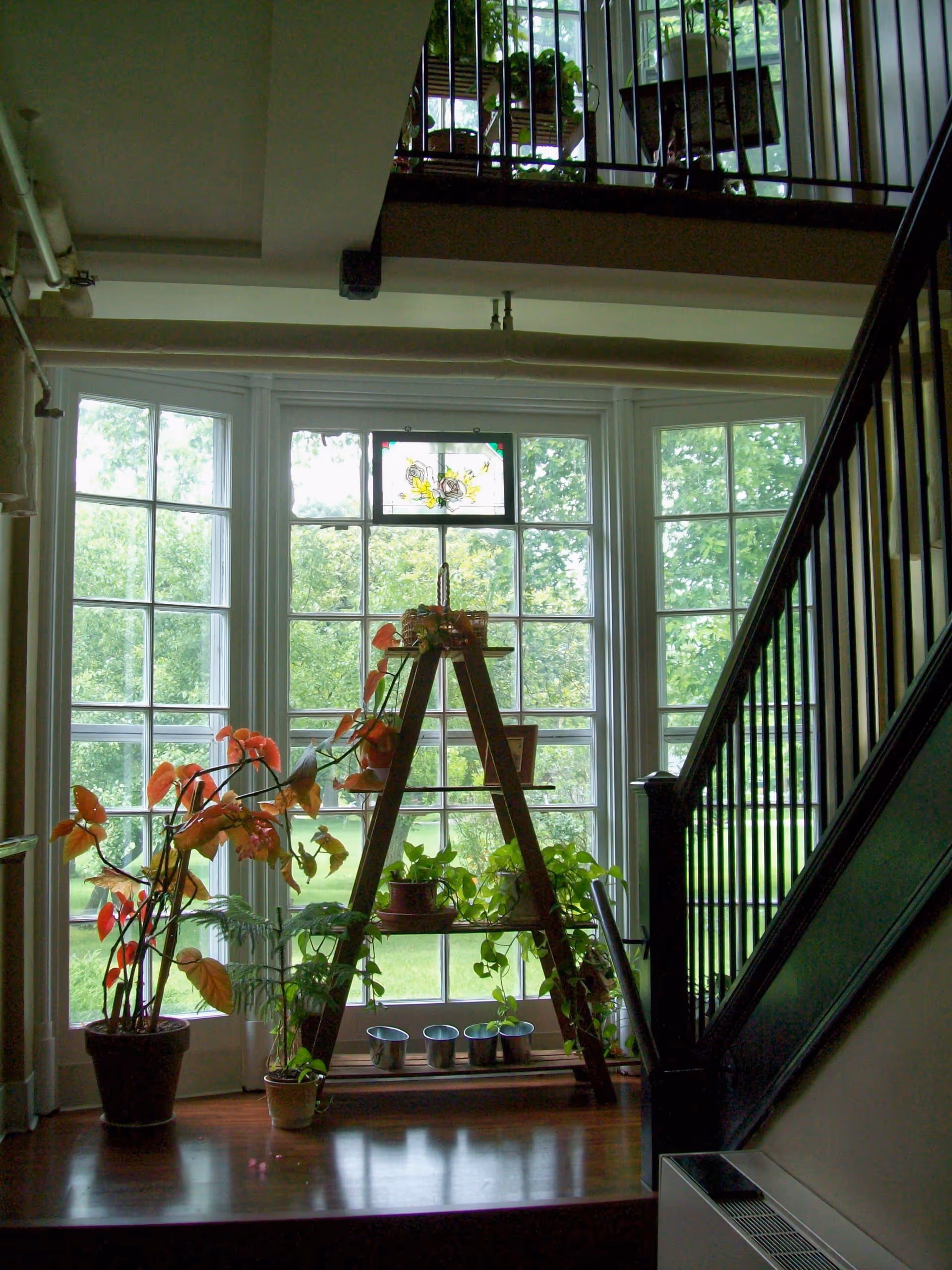 Sunlit interior stair landing with a large multi-pane window, a ladder-style plant stand and several potted plants.
