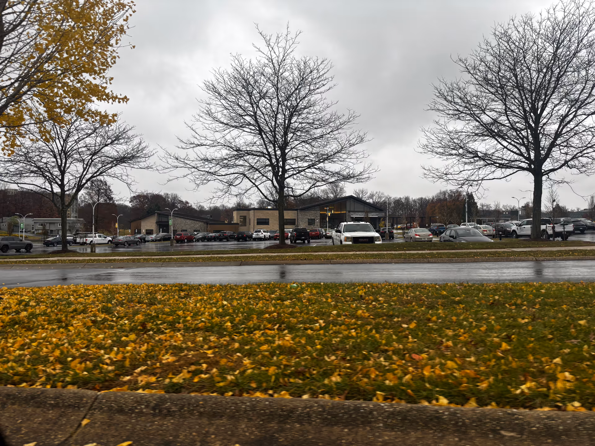 View of a senior living facility building with a parking lot in front, surrounded by leafless trees and a grassy area covered with yellow fallen leaves on a cloudy day.