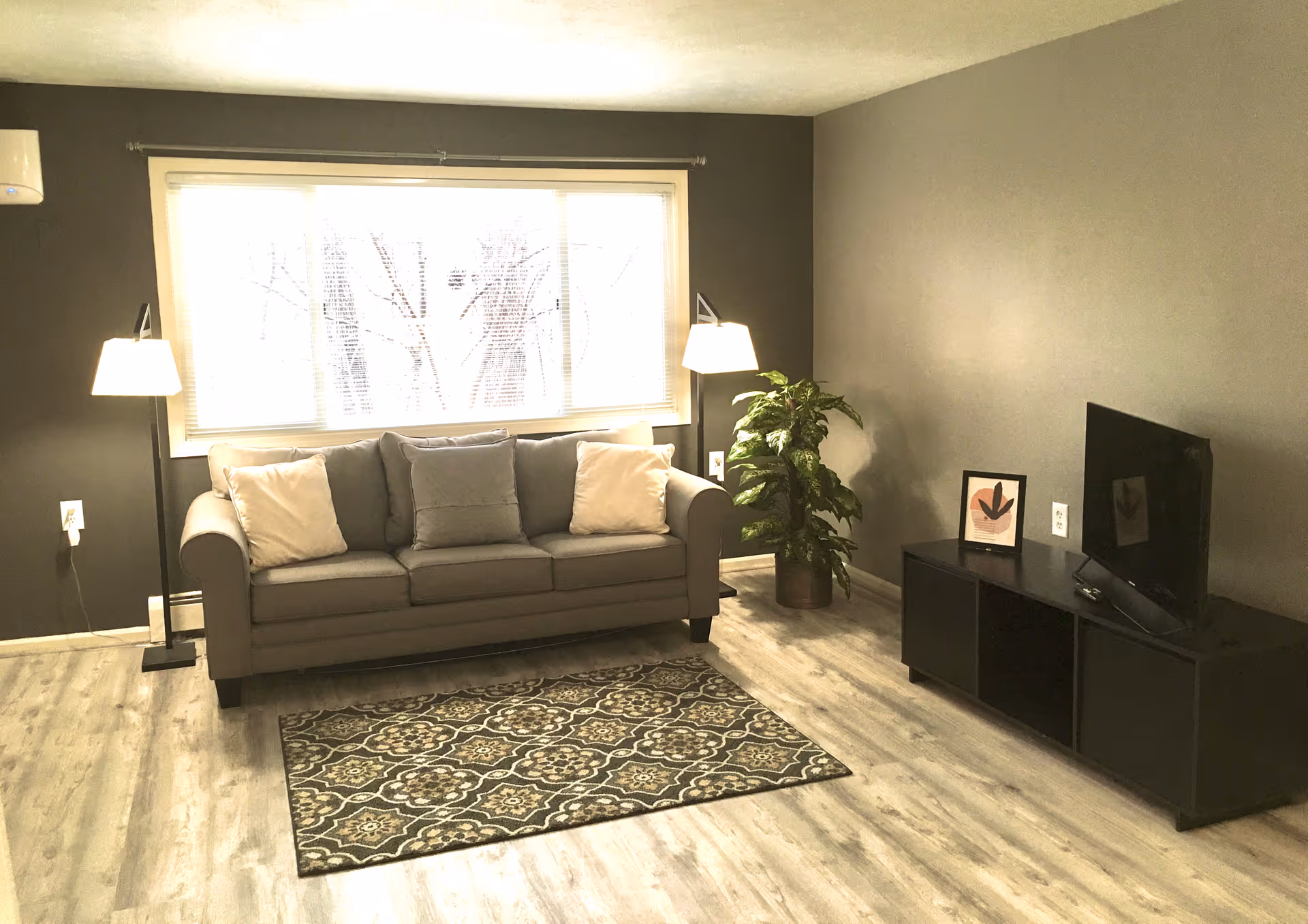 Bright living room with a gray sofa, patterned rug, TV on a low stand, floor lamps and a potted plant beneath a large window.