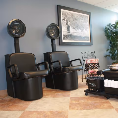 Interior of a salon area with two black hair drying chairs against a blue wall, a framed black and white picture hanging above them, a small metal magazine rack with magazines, a potted plant in the corner, and a rolling cart with towels and hair care supplies.