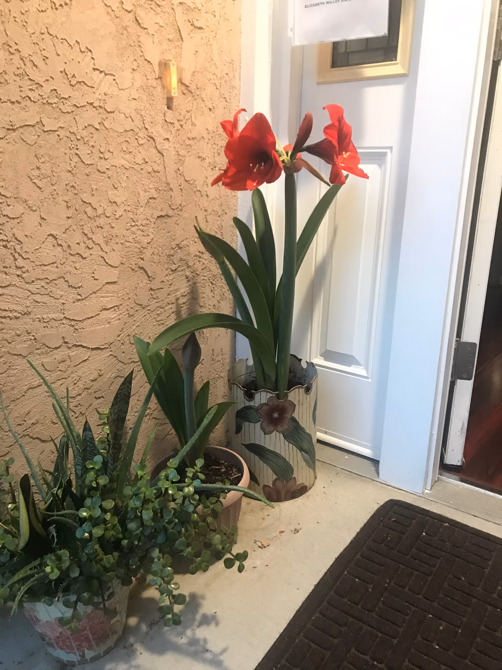 A small outdoor entryway with a textured beige wall, a white door, a brown doormat, and three potted plants including one with tall green leaves and red flowers in a decorative pot.