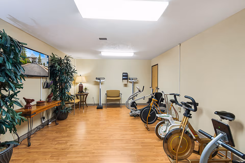 A small exercise room with wooden flooring featuring stationary exercise bikes and an elliptical machine. The room has beige walls, a ceiling light, and a skylight. There are two weight scales and a chair against the far wall. A wooden table with decorative items and two large potted plants are on the left side, with a wall-mounted TV above the table.