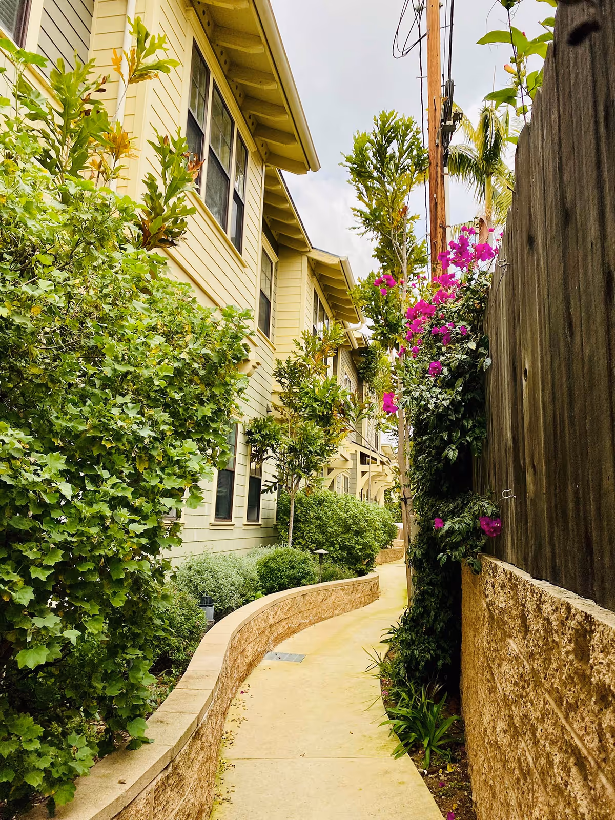 A narrow outdoor walkway bordered by a low stone wall on one side and a wooden fence on the other. The walkway curves gently and is lined with green bushes and trees, with bright pink flowers climbing the fence. A yellow building with multiple windows is visible on the left side under a cloudy sky.