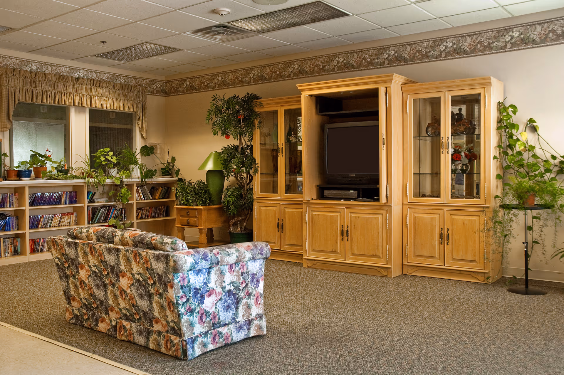 A cozy living room area with a floral patterned couch facing a wooden entertainment center holding a TV. The room has carpeted flooring, several potted plants, a bookshelf filled with books and DVDs, and windows with beige curtains.