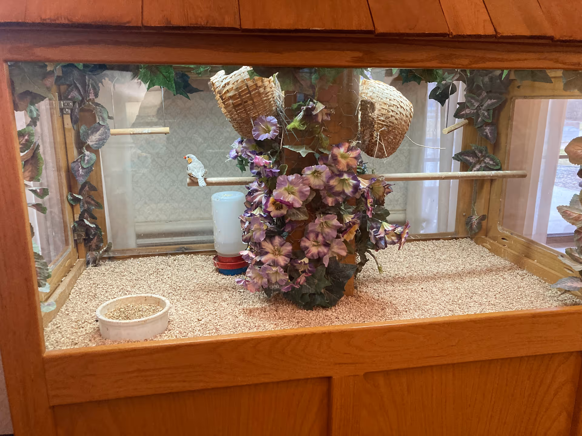 A wooden birdcage with a small white bird perched on a wooden rod inside. The cage is decorated with artificial purple flowers and green leaves, and contains two hanging woven baskets. There is a water dispenser and a food dish on the floor of the cage filled with small seeds.