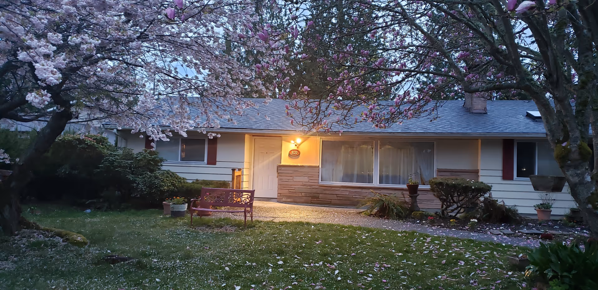 Exterior view of a single-story house with a lit porch light, surrounded by blooming trees with pink flowers and a grassy yard with a bench and potted plants.
