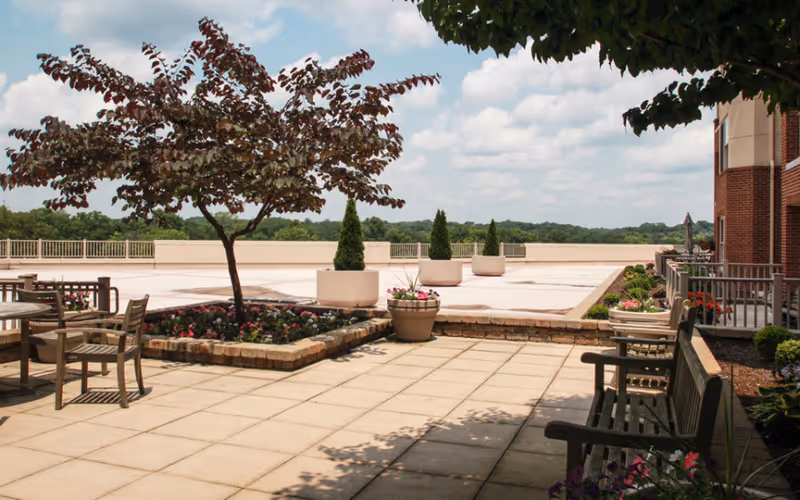 Outdoor patio area with wooden benches and tables, potted plants, and a small tree. The patio overlooks a scenic view with trees and a partly cloudy sky.