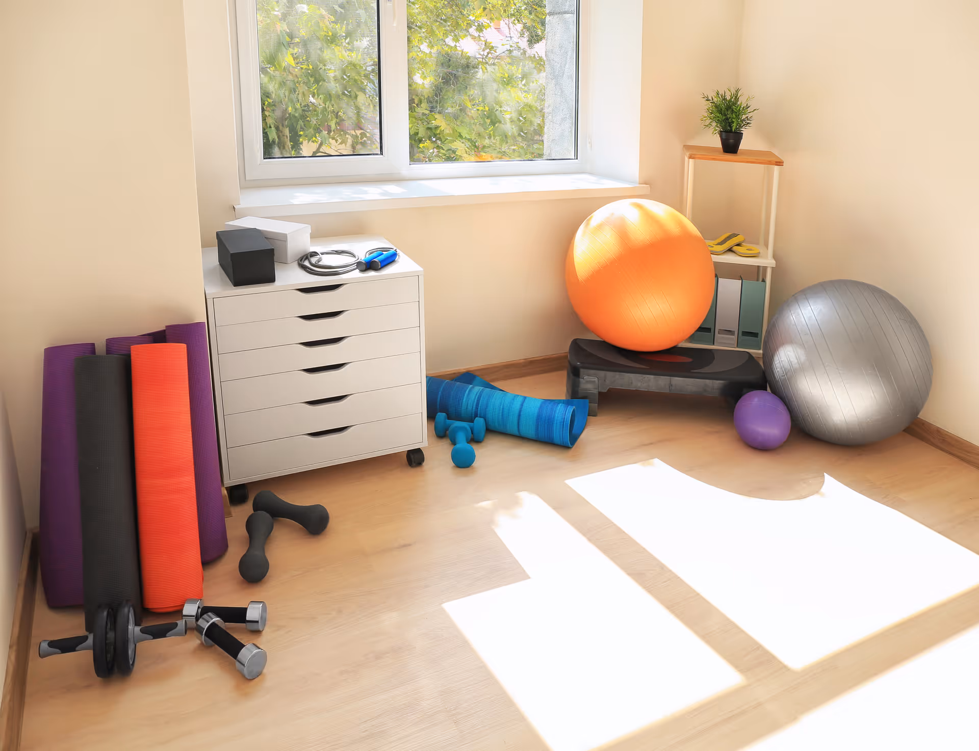 Sunny interior exercise corner with yoga mats, dumbbells, foam rollers and large stability balls near a window.