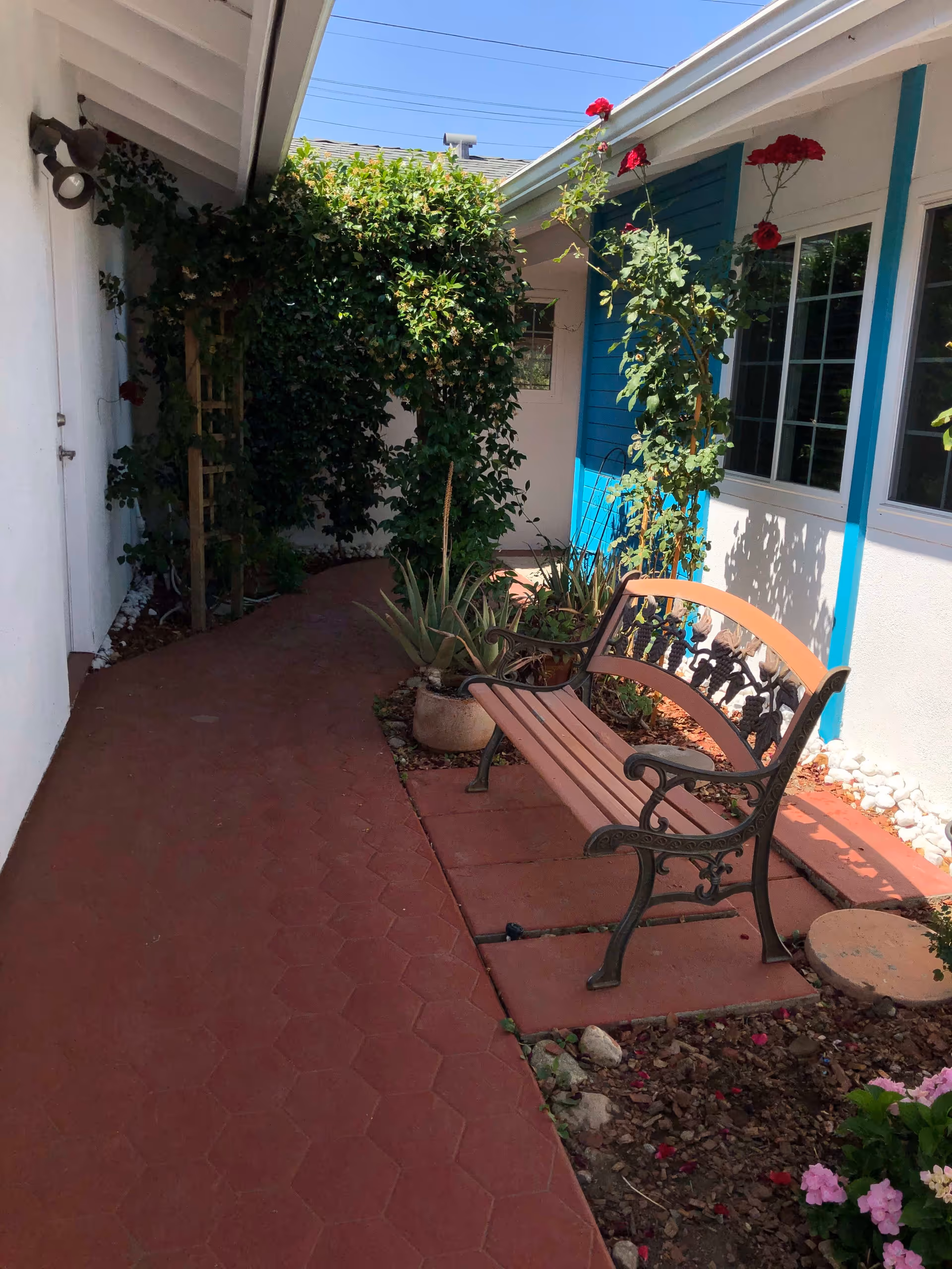 Outdoor garden area with a red brick pathway, a decorative metal and wood bench, potted plants, climbing vines on a trellis, and a white building with blue trim and windows.
