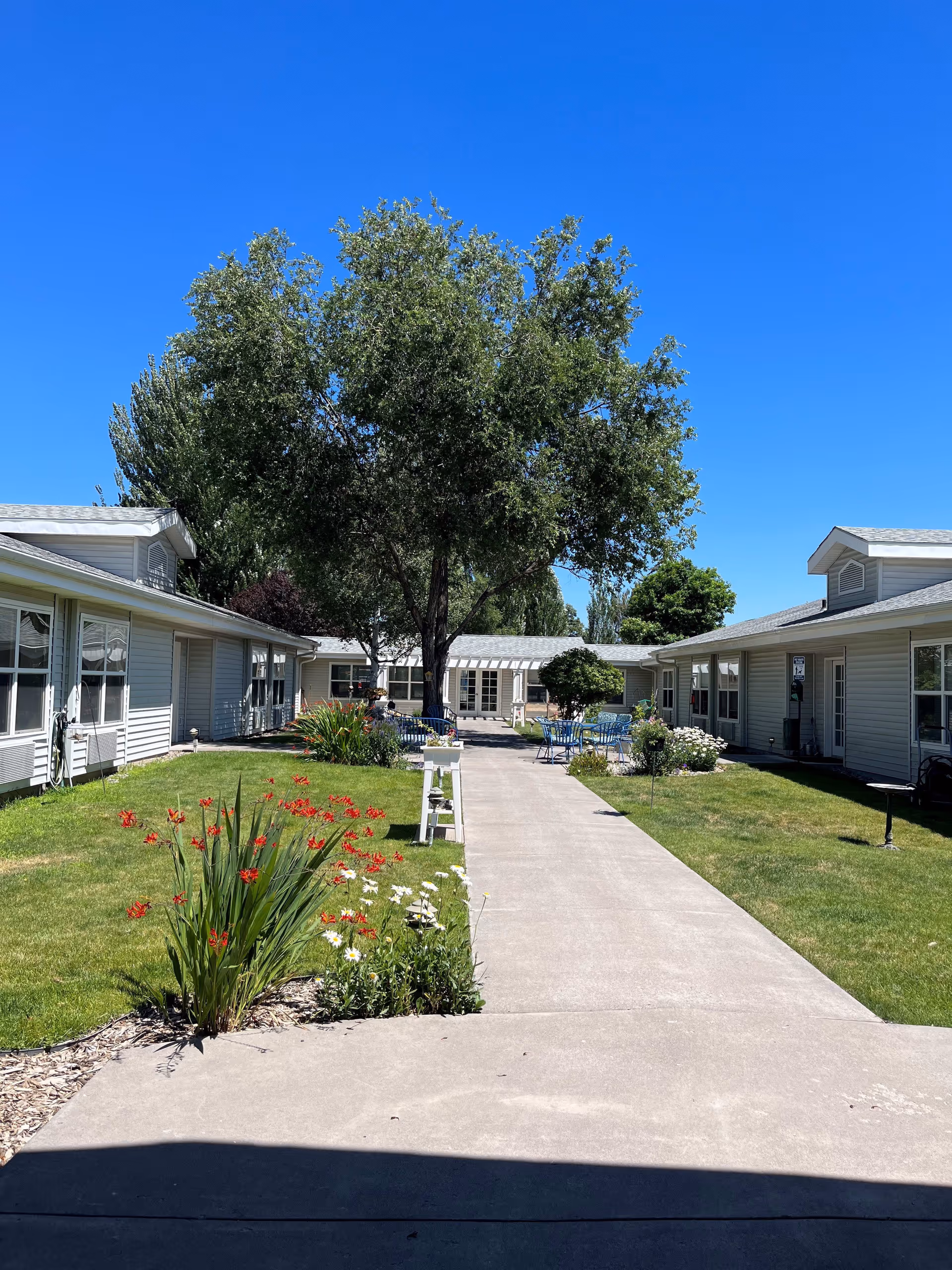 Outdoor courtyard area at Trustwell Living at Rogue River Place featuring a concrete walkway flanked by green lawns with red and white flowers. There are two single-story buildings on either side with windows, and a large tree providing shade in the center background. Blue sky is visible above.