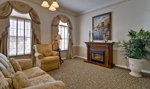 Living room with patterned sofa and armchair, electric fireplace topped by a painting, a large potted plant, and two draped windows.