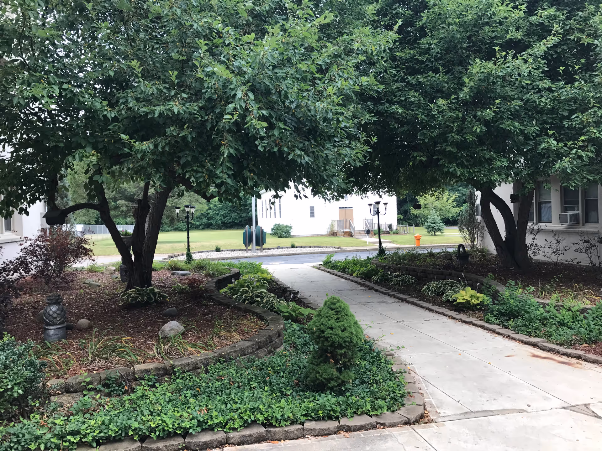 A landscaped outdoor area with a concrete walkway flanked by garden beds containing various plants and shrubs. Two large leafy trees provide shade over the walkway. In the background, there are white buildings and a grassy lawn area with a street lamp and an orange fire hydrant visible.