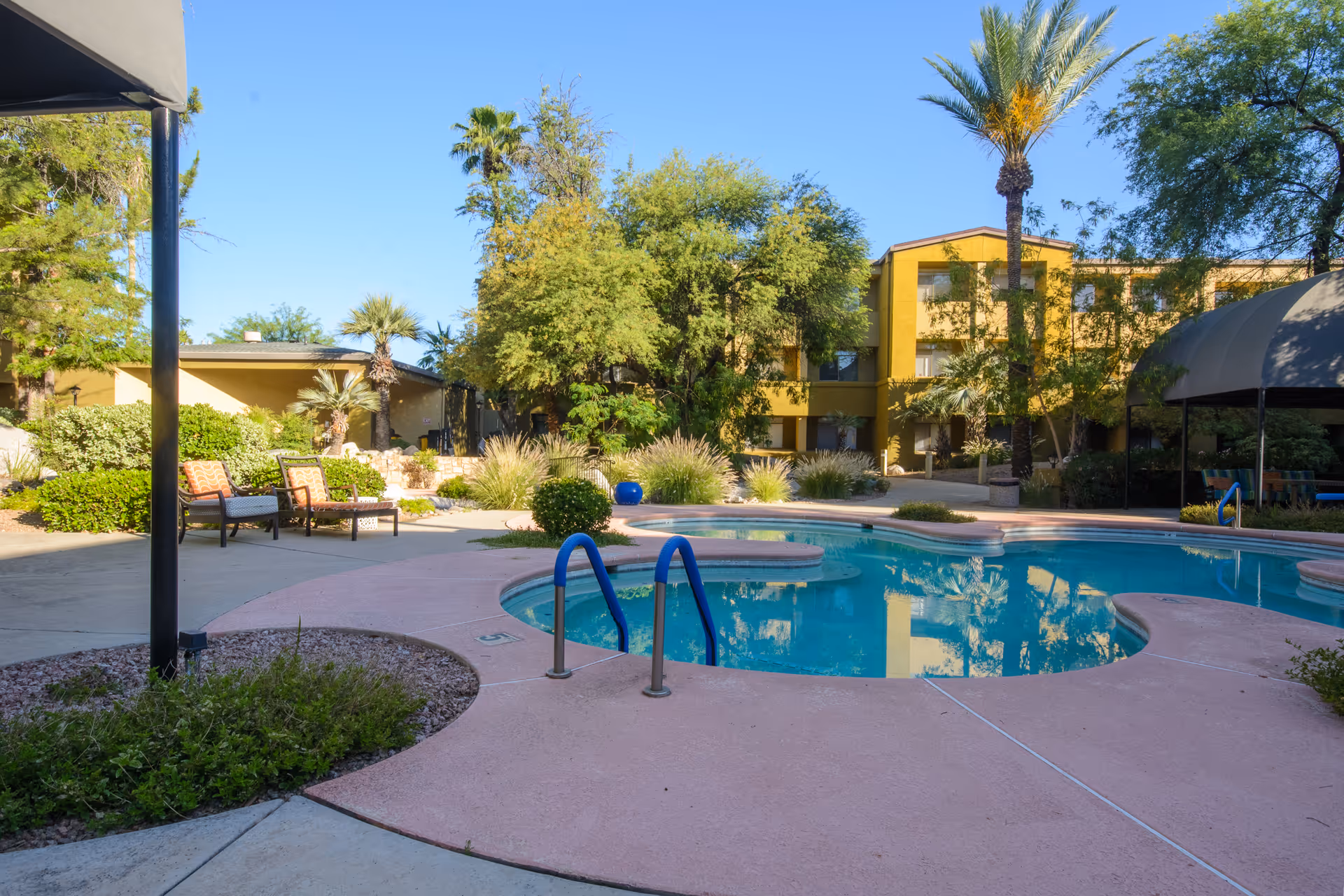 Outdoor courtyard with a kidney-shaped swimming pool, lounge chairs, palm trees, and a yellow multi-story assisted living building in the background.
