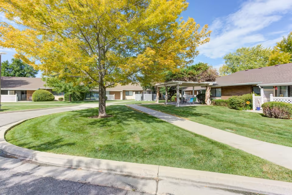 Well-maintained courtyard with a large tree, paved walkway, pergola seating area, and single-story residential units.