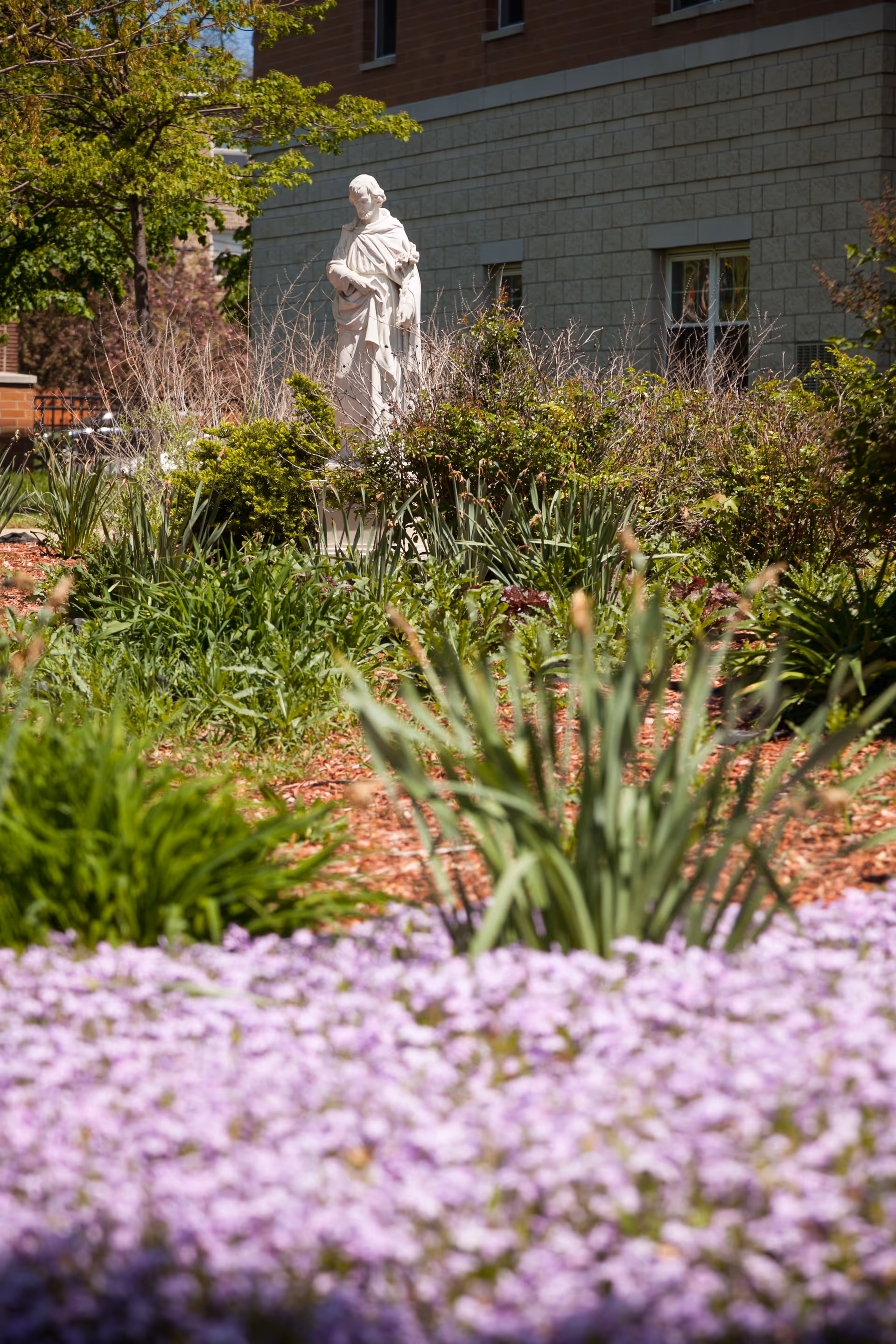 A garden area with various green plants and purple flowers in the foreground. In the middle of the garden, there is a white statue of a robed figure. Behind the garden is a building with beige brick walls and windows.