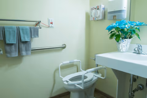 Accessible bathroom with a toilet featuring safety rails, a sink with a potted plant, towel rack, and grab bar.
