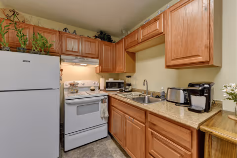 A compact kitchen with wooden cabinets, a white refrigerator, a white stove with an oven, a microwave, a coffee maker, a toaster, and a sink. There are plants on top of the refrigerator and cabinets, and a small vase with flowers on the right side of the countertop.