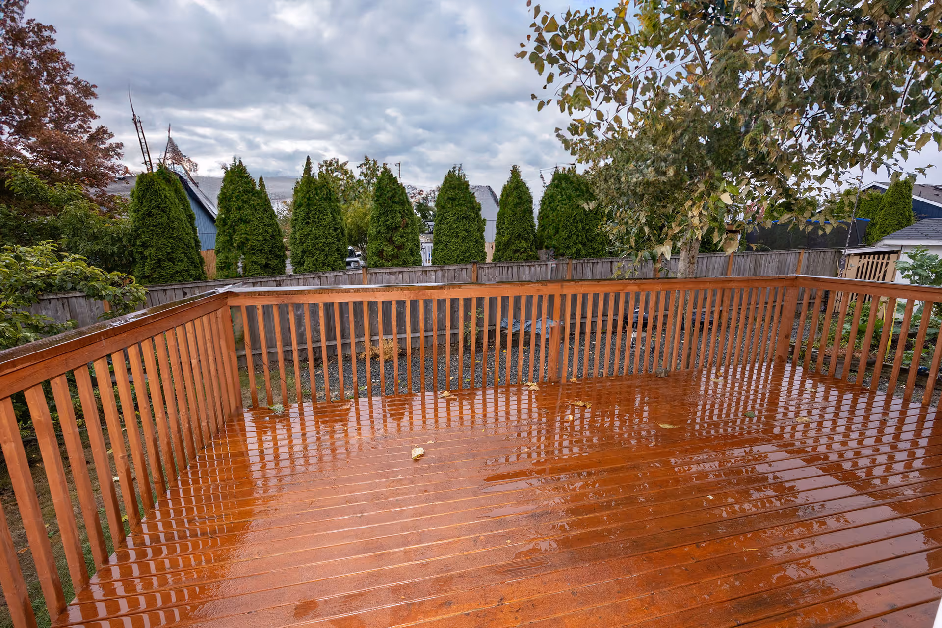 Wet wooden deck with railing overlooking a fenced backyard with trees under a cloudy sky.