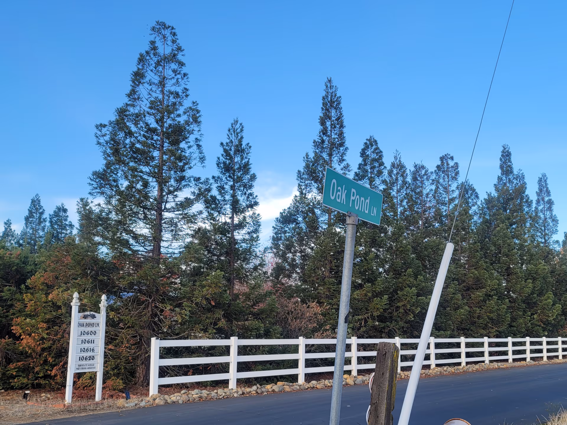 Roadside scene with a green 'Oak Pond Ln' street sign, white fence, and tall evergreen trees under a blue sky.