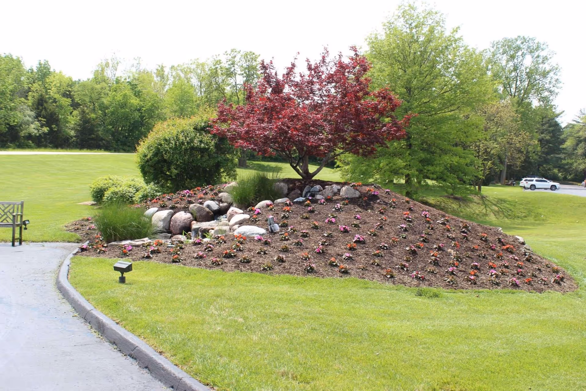A landscaped garden area with a small hill covered in mulch and planted with small flowers. There is a red-leafed tree and a green bush on the hill, surrounded by rocks. The garden is bordered by a paved path and green grass, with more trees and a parked white car visible in the background.