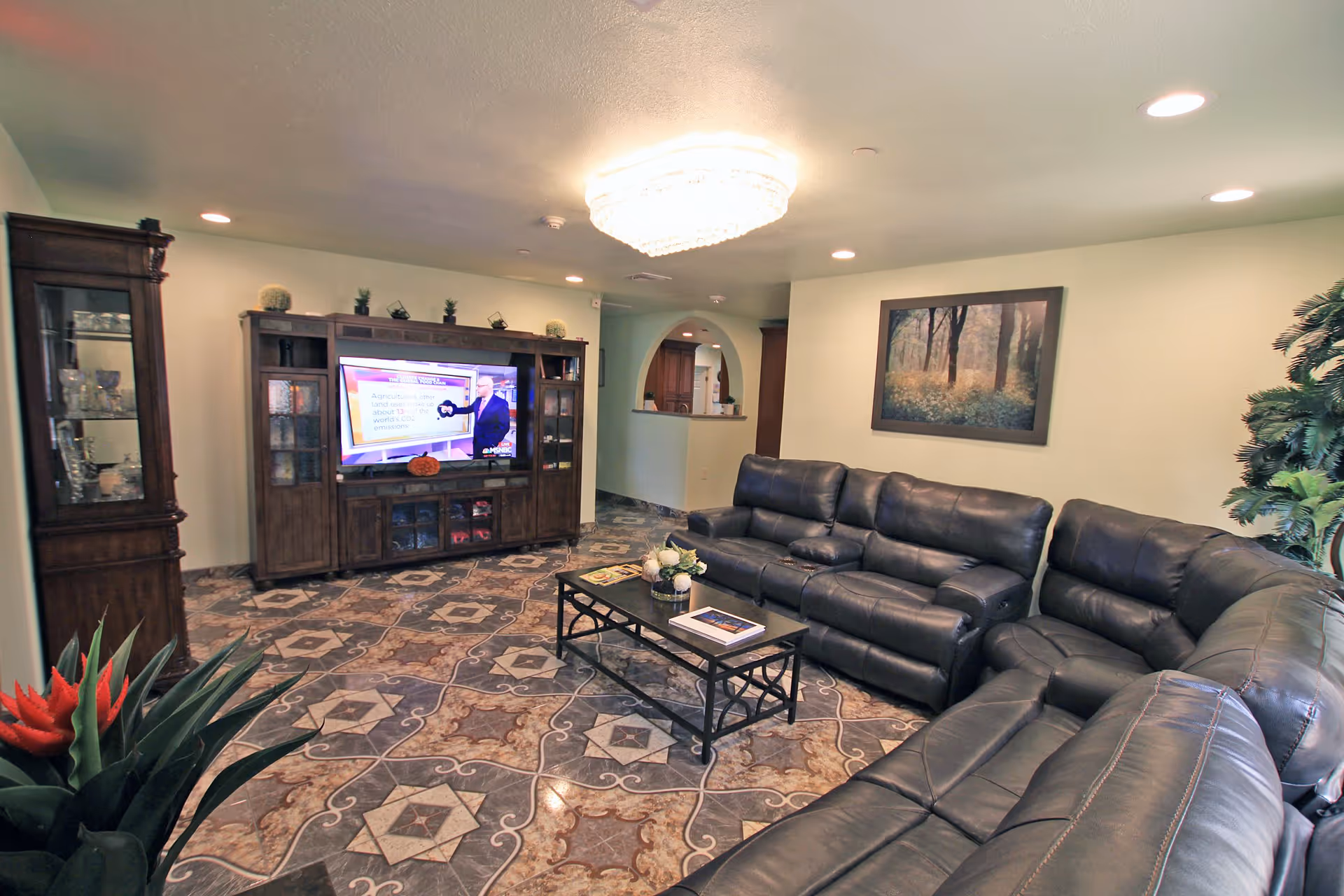 A cozy living room with a large black leather sectional sofa arranged around a black metal coffee table with books and a flower arrangement. The floor has decorative patterned tiles. A large wooden entertainment center with a TV is against the wall, and a framed picture of a forest scene hangs on the opposite wall. There are plants in the corners and a bright ceiling light fixture.