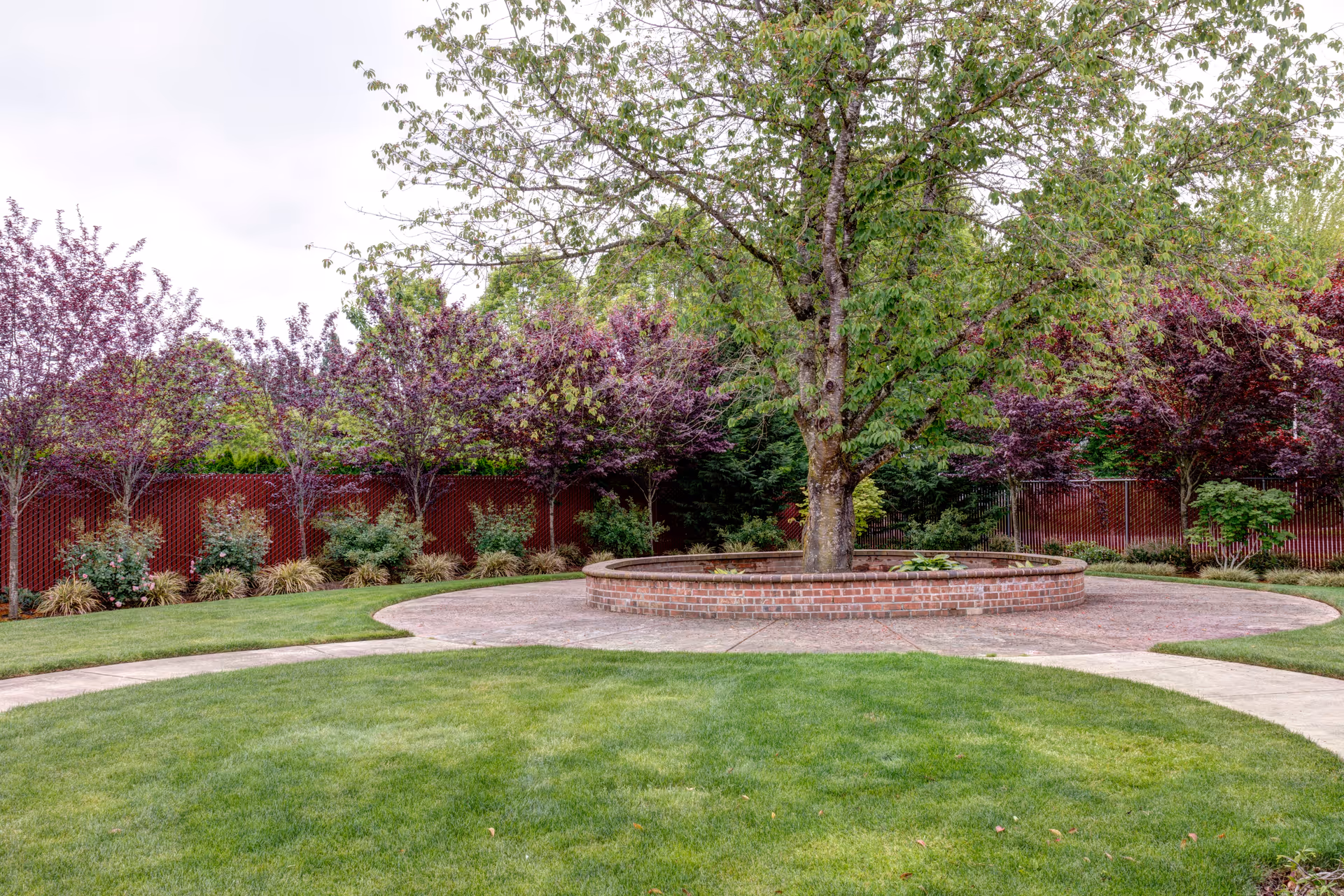 A landscaped outdoor garden area with a large tree planted in the center of a circular brick planter. Surrounding the planter is a paved circular pathway, bordered by well-maintained green grass and various bushes and smaller trees with purple and green foliage. A red fence runs along the background.